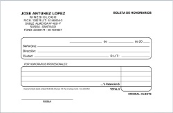 BOLETAS DE HONORARIOS (TALONAR 100/2